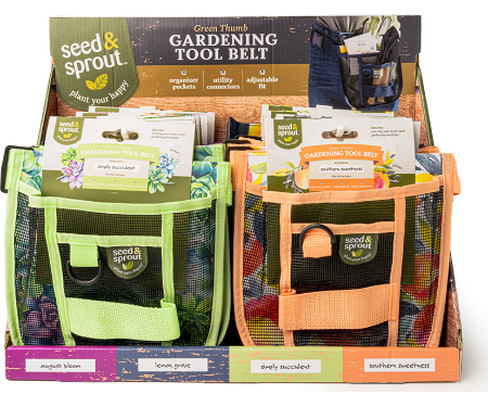 D37 SNSHIPSS